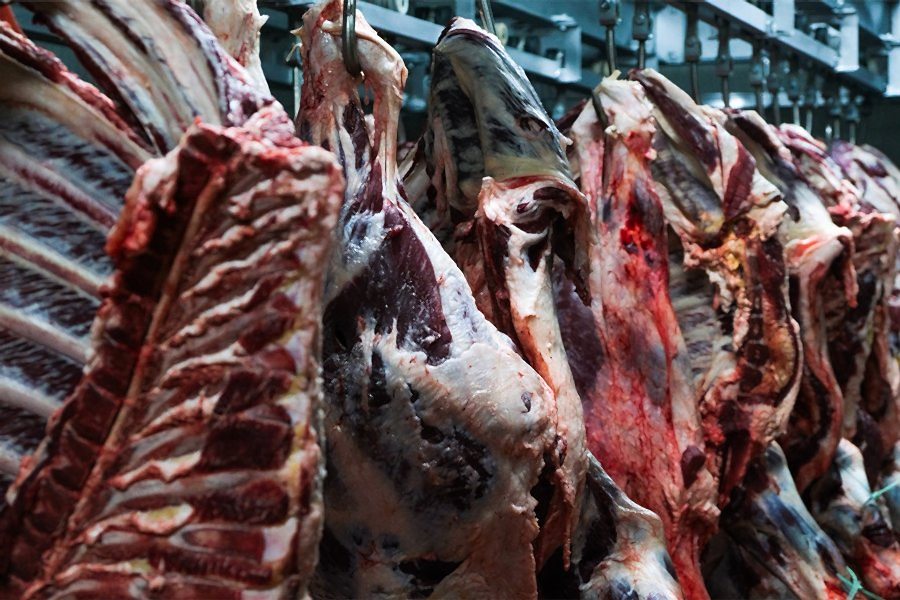 Soğuk Hava Depoları