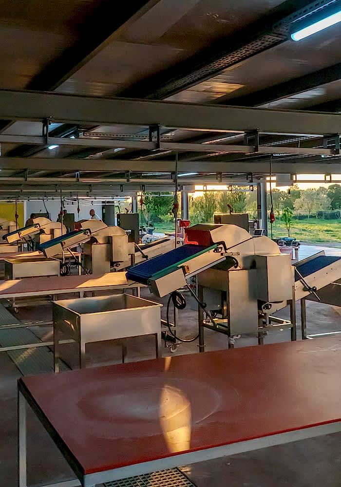 Kurban Kesimi ve Hisseleme Galeri