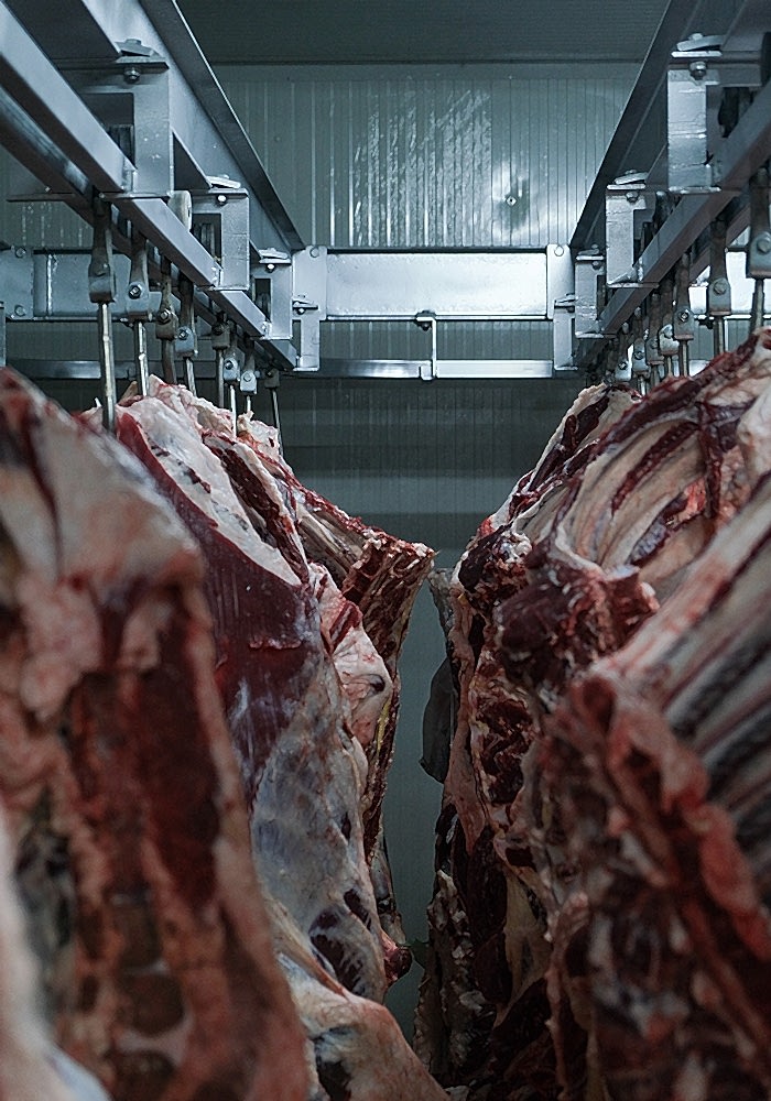 Soğuk Hava Depoları Galeri