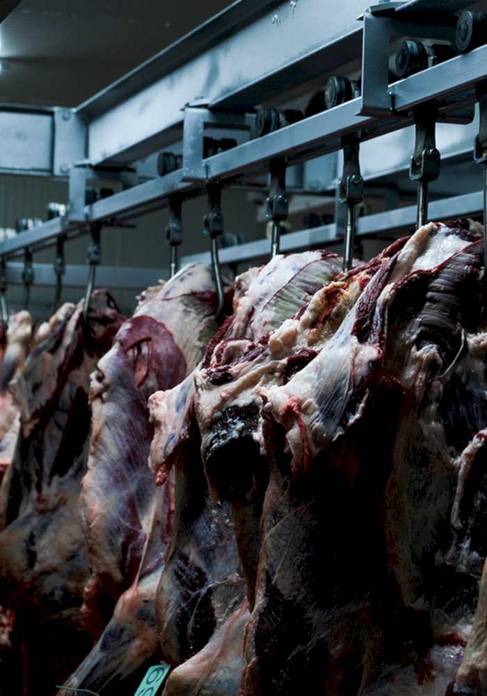 Soğuk Hava Depoları Galeri